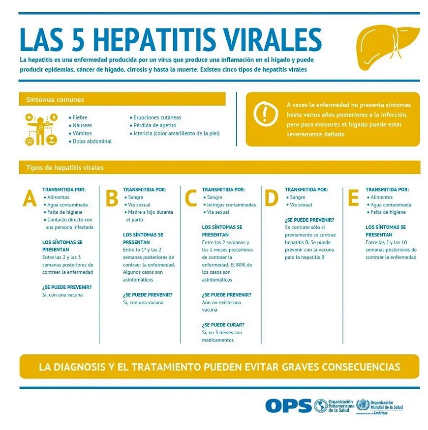 Hepatitis por Dengue: Una Complicación Atipica - Cómo afecta el dengue al hígado hepatitis por dengue - Cómo afecta el dengue al hígado