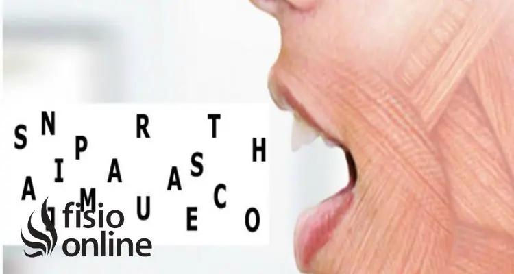 Disartria por Estrés: Cómo Superar las Dificultades del Habla - Cómo afecta el estrés al lenguaje disartria por estrés - Cómo afecta el estrés al lenguaje