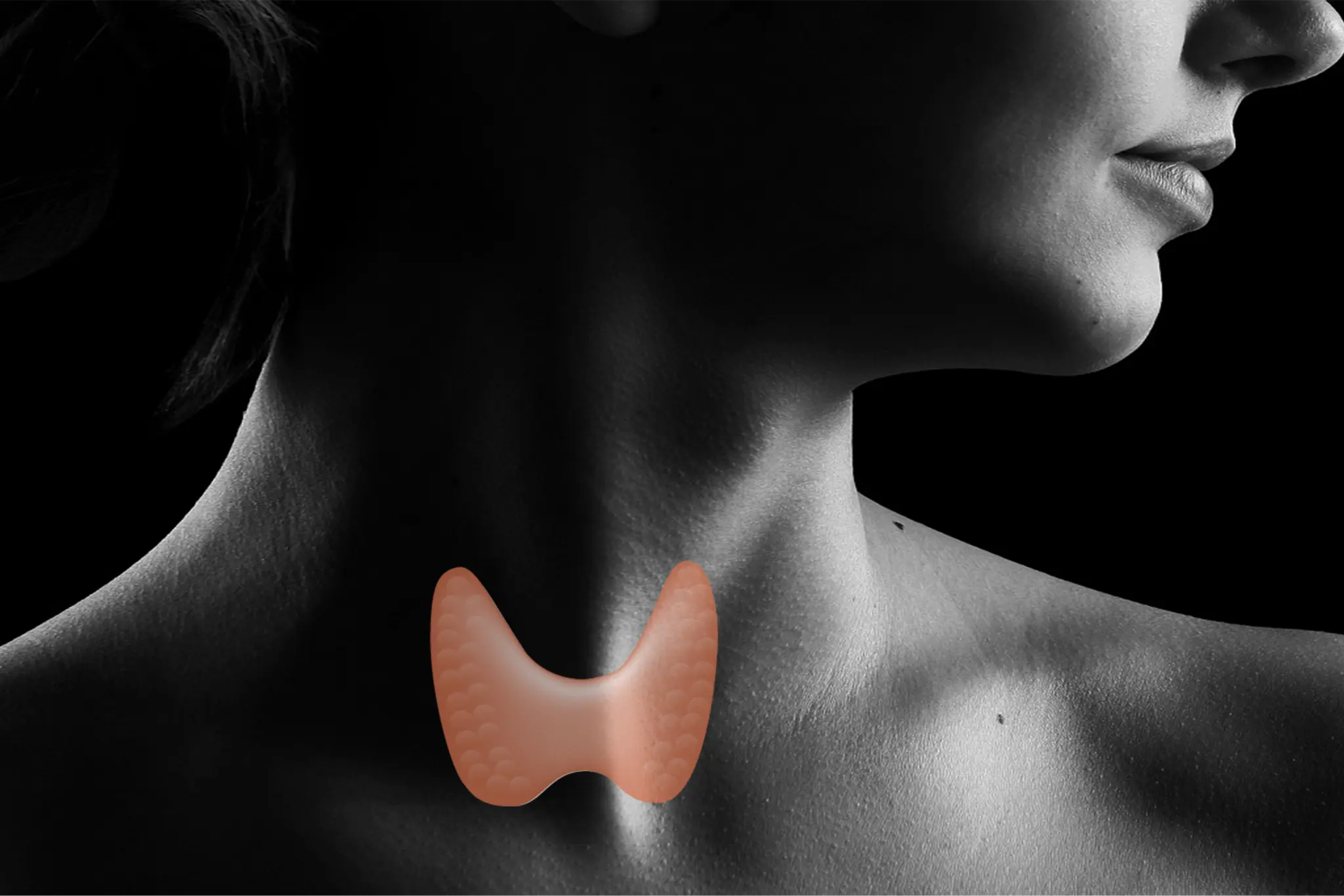 Hipotiroidismo y Biodescodificación: La Relación entre la Tiroides y las Emociones - Cómo afecta psicológicamente el hipotiroidismo hipotiroidismo biodescodificacion - Cómo afecta psicológicamente el hipotiroidismo