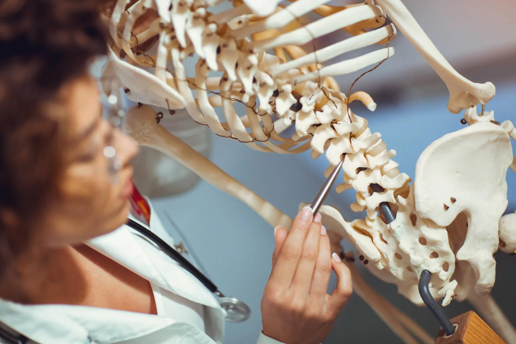 Anatomía en el dibujo: Una guía completa para artistas - Cómo aprender anatomía anatomia dibujo - Cómo aprender anatomía