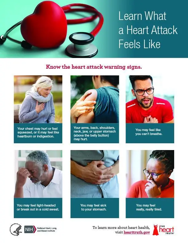 Shock Cardiogénico: Síntomas, Causas y Tratamiento - Cómo atender un shock cardiogénico shock cardiogénico síntomas - Cómo atender un shock cardiogénico