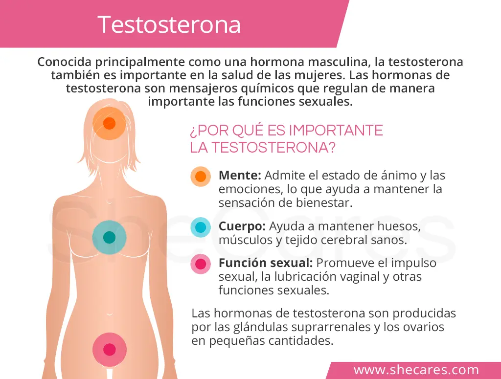 Testosterona en la mujer: Qué es, beneficios, cómo aumentarla naturalmente y más - Cómo aumentar la testosterona en la mujer naturalmente testosterona mujer - Cómo aumentar la testosterona en la mujer naturalmente