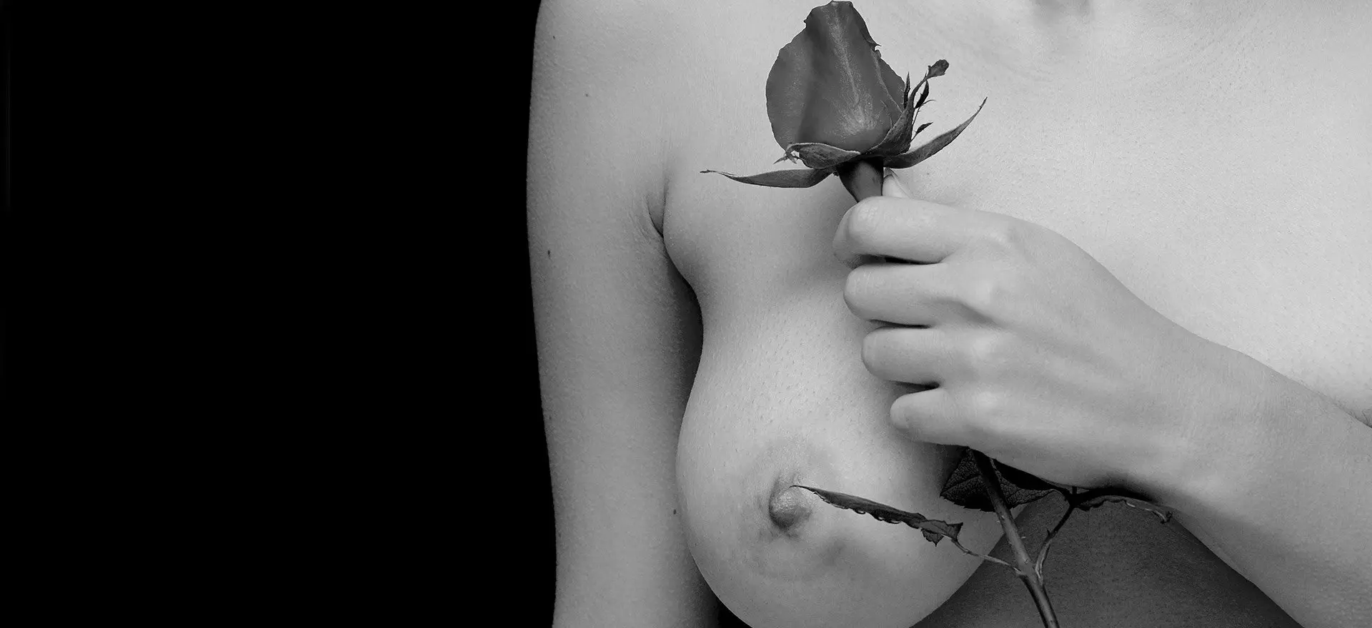 Tipos de pezones: Una guía completa - Cómo debe ser la areola del pezón tipos de pezones - Cómo debe ser la areola del pezón