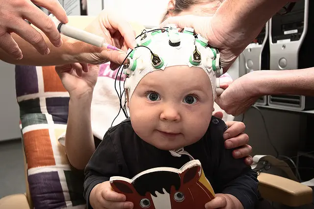 Electroencefalograma bajo sueño: Cómo detecta los trastornos del sueño - Cómo detecta un EEG los trastornos del sueño electroencefalograma bajo sueño - Cómo detecta un EEG los trastornos del sueño