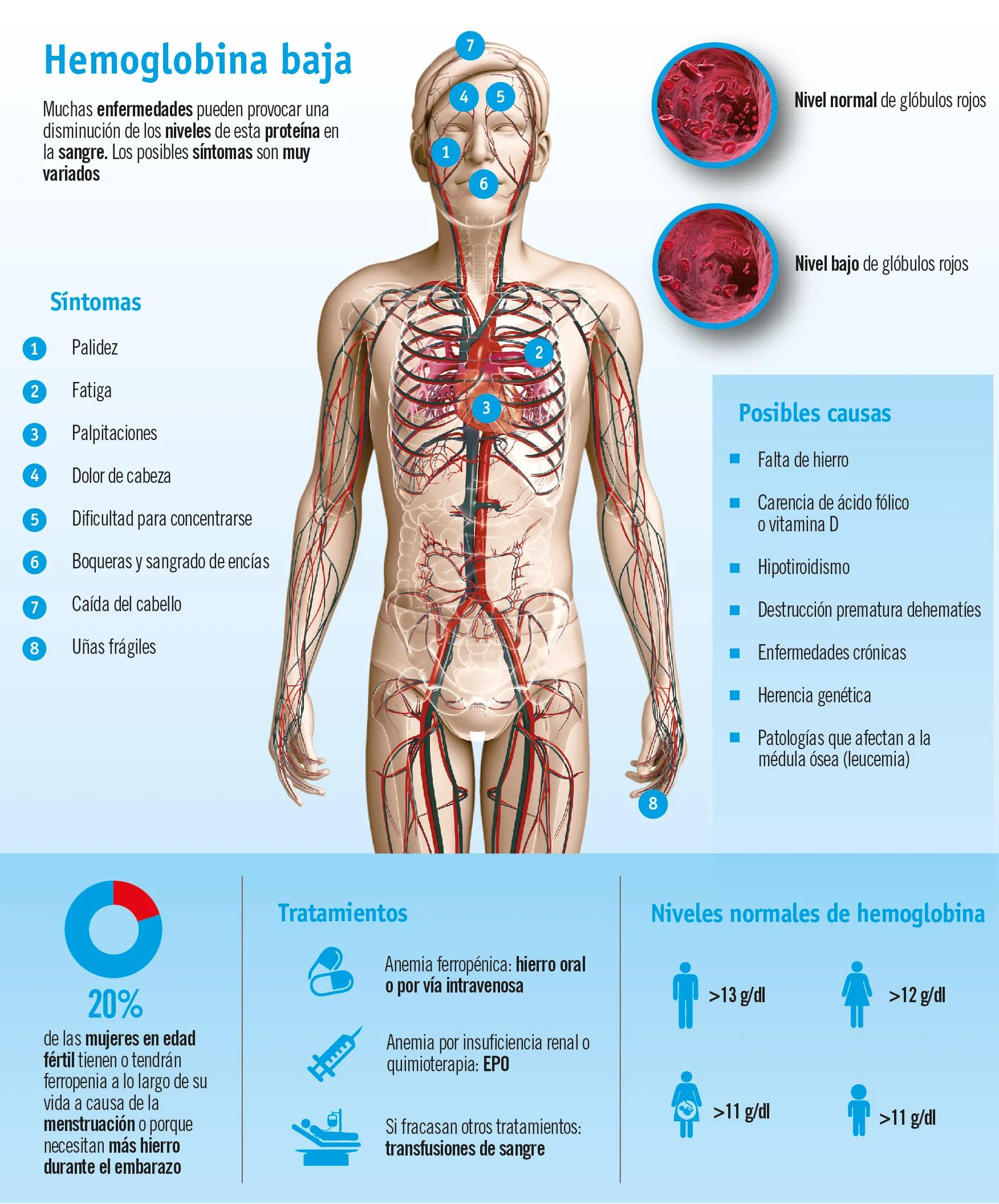 Cómo Saber si Tengo Anemia: Síntomas, Causas y Tratamiento - Cómo detectar si tenemos anemia como saber si tengo anemia - Cómo detectar si tenemos anemia