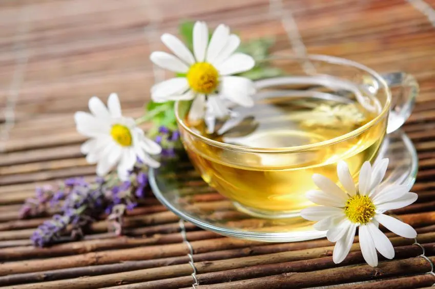 Remedios Caseros para la Candidiasis: Alivio Natural para la Picazón y el Flujo - Cómo eliminar la candidiasis naturalmente remedios caseros para el flujo y picazon - Cómo eliminar la candidiasis naturalmente