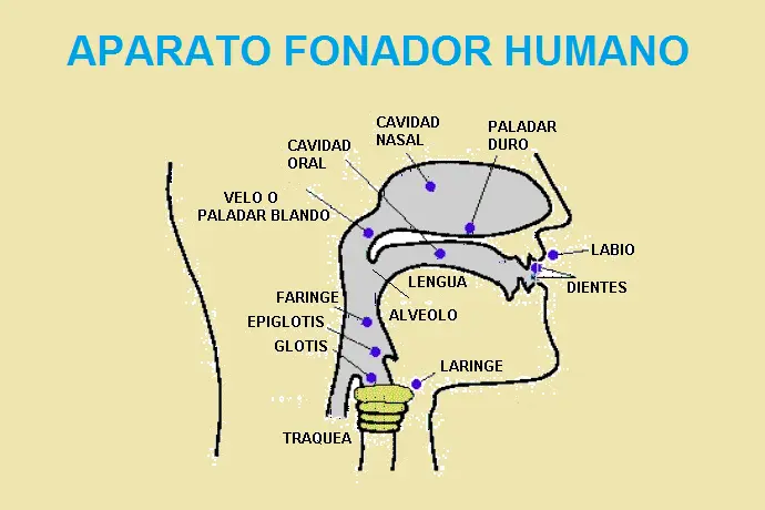 Disartria por Estrés: Cómo Superar las Dificultades del Habla - Cómo eliminar la disartria disartria por estrés - Cómo eliminar la disartria