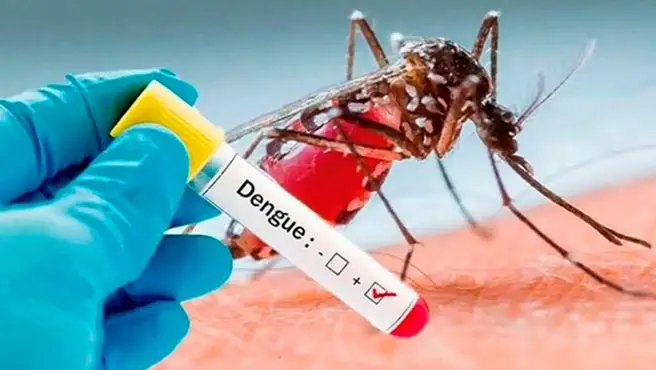 Dengue y Recuento de Leucocitos: Una Herramienta Diagnóstica Crucial - Cómo están los leucocitos en el dengue dengue laboratorio - Cómo están los leucocitos en el dengue