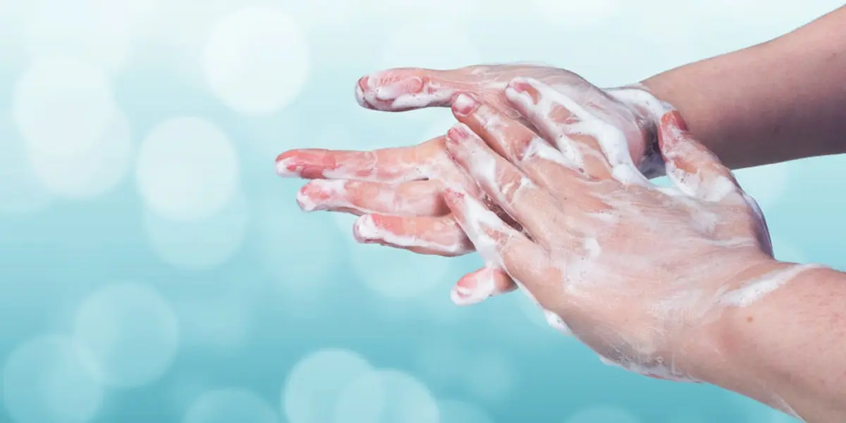 Síndrome Urémico Hemolítico (SUH): Causas, Síntomas y Prevención - Cómo evitar el síndrome urémico hemolítico suh - Cómo evitar el síndrome urémico hemolítico
