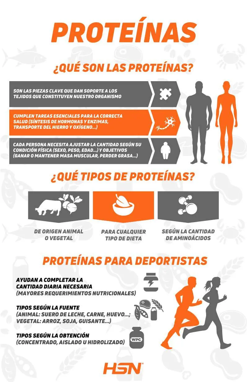 La proteína y el ejercicio: ¿Cómo funciona la proteína en el gimnasio? - Cómo funciona la proteína para el gimnasio que hace la proteina en el cuerpo - Cómo funciona la proteína para el gimnasio