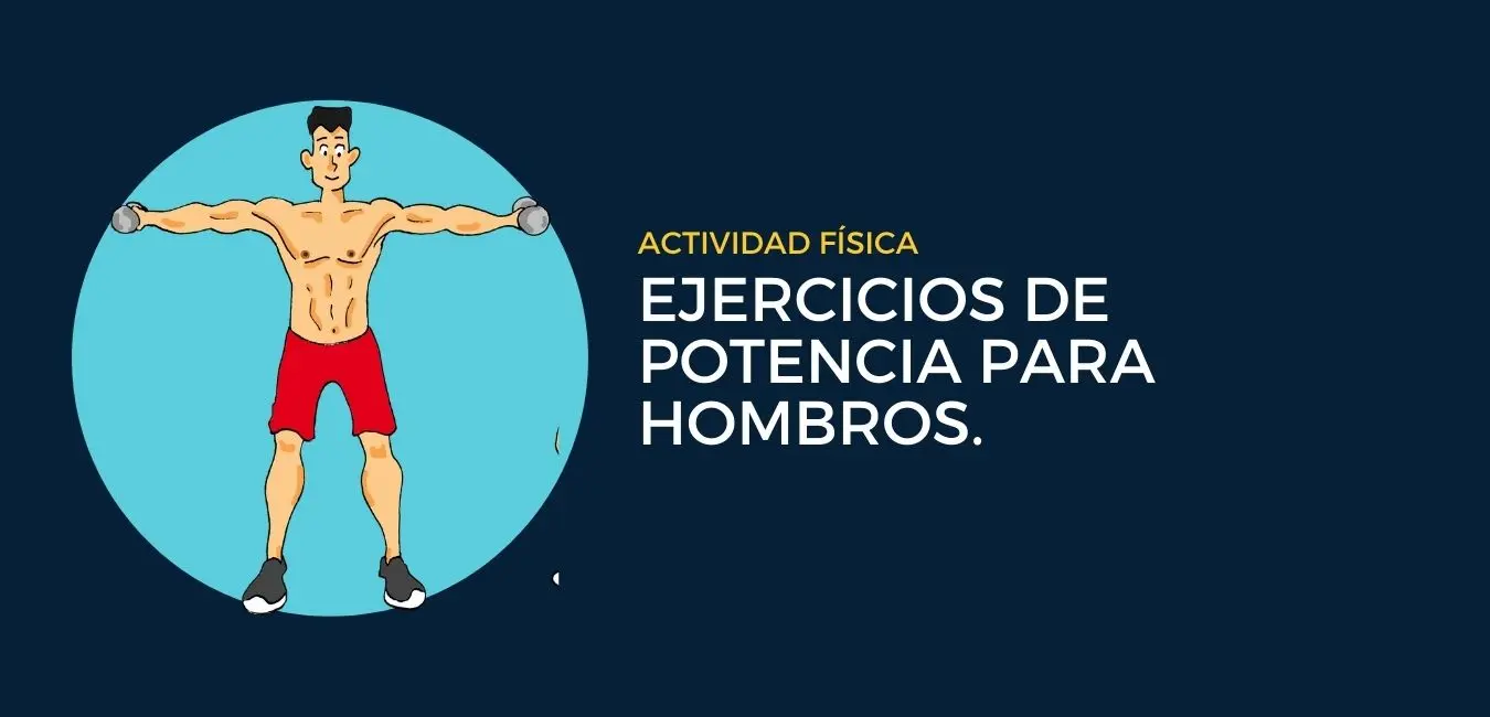 Ejercicios para Hombros en Casa: ¡Fortalece y Tonifica con Mancuernas! - Cómo hacer flexiones para hombro ejercicios para hombros en casa - Cómo hacer flexiones para hombro