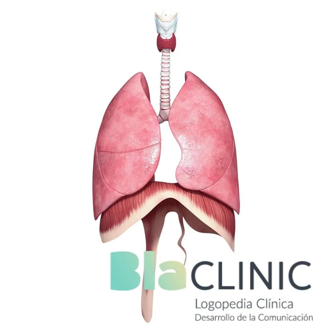 Respiración Costodiafragmática: Una Guía Completa para Mejorar tu Salud - Cómo hacer respiración costodiafragmática respiracion costodiafragmatico - Cómo hacer respiración costodiafragmática