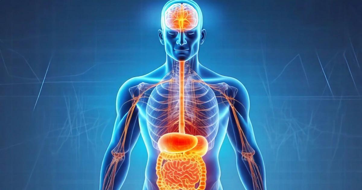 Secuelas del Dengue: Lo que debes saber sobre las complicaciones a largo plazo - Cómo queda el cuerpo después del dengue secuelas de dengue - Cómo queda el cuerpo después del dengue