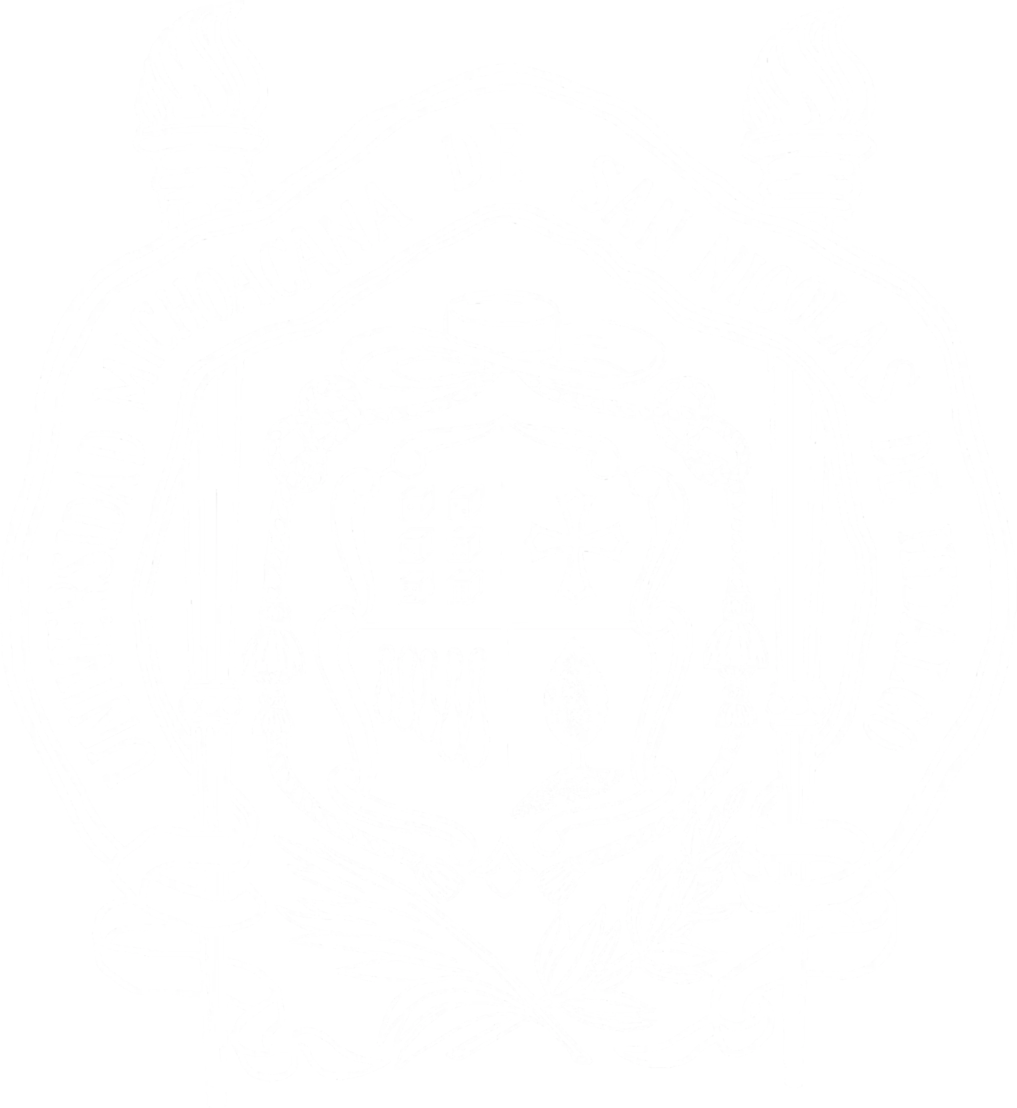 Hongos blancos: Guía completa para identificar los comestibles y evitar los tóxicos - Cómo saber si es un hongo venenoso hongos blancos - Cómo saber si es un hongo venenoso