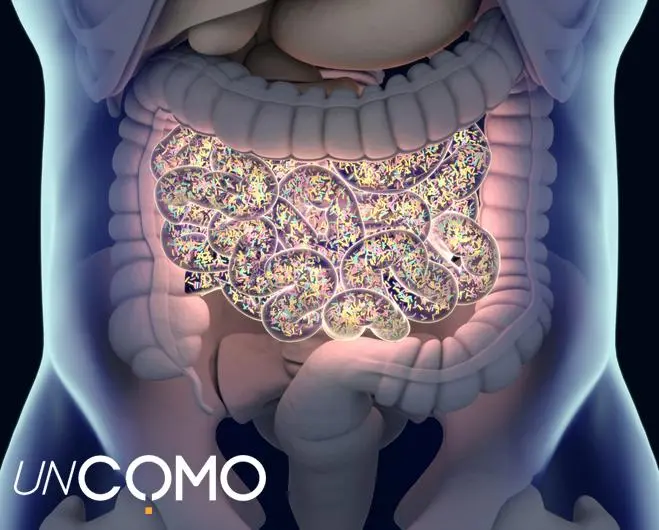 Cómo Eliminar Bacterias Malas del Intestino: Guía Completa para una Salud Intestinal Óptima - Cómo saber si tienes una bacteria en el intestino como eliminar bacterias malas del intestino - Cómo saber si tienes una bacteria en el intestino