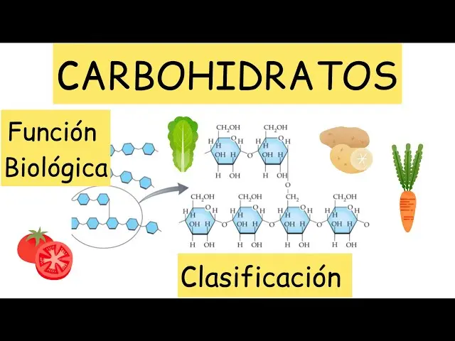 Clasificación de los Carbohidratos: Una Guía Completa - Cómo se clasifican los carbohidratos en PDF clasificacion de los carbohidratos - Cómo se clasifican los carbohidratos en PDF