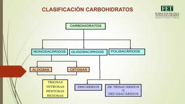Clasificación de los Carbohidratos: Una Guía Completa - Cómo se clasifican los carbohidratos en Wikipedia clasificacion de los carbohidratos - Cómo se clasifican los carbohidratos en Wikipedia