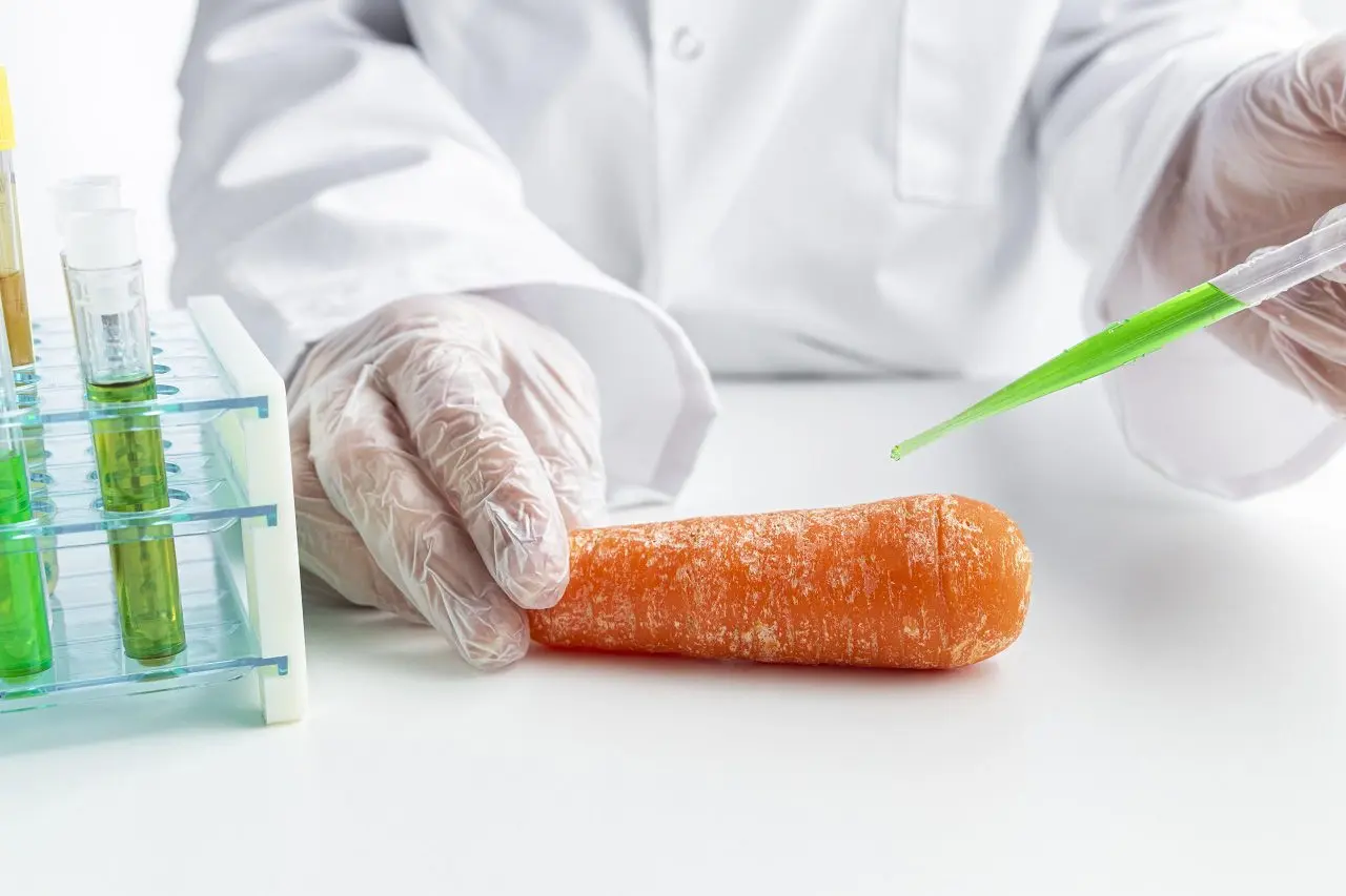 La Radiación en los Alimentos: Una Tecnología Controversial - Cómo se conservan los alimentos por irradiación radiacion alimentos - Cómo se conservan los alimentos por irradiación