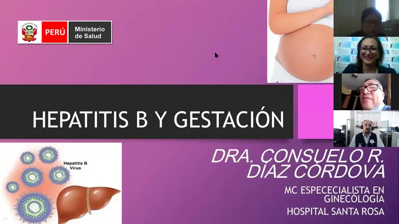 hepatitis b en el embarazo - Cómo se contagia la hepatitis B de madre a hijo