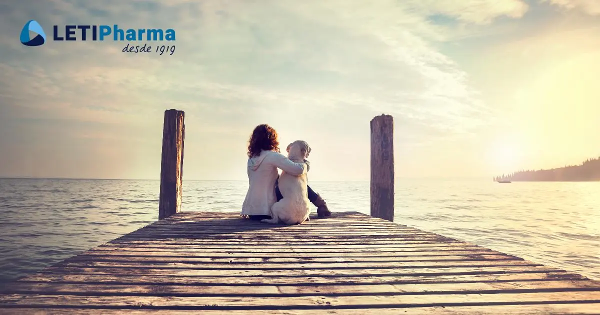 Leishmaniosis en perros: Síntomas, diagnóstico, tratamiento y prevención - Cómo se cura la leishmaniasis en perros leishmaniasis perro sintomas - Cómo se cura la leishmaniasis en perros