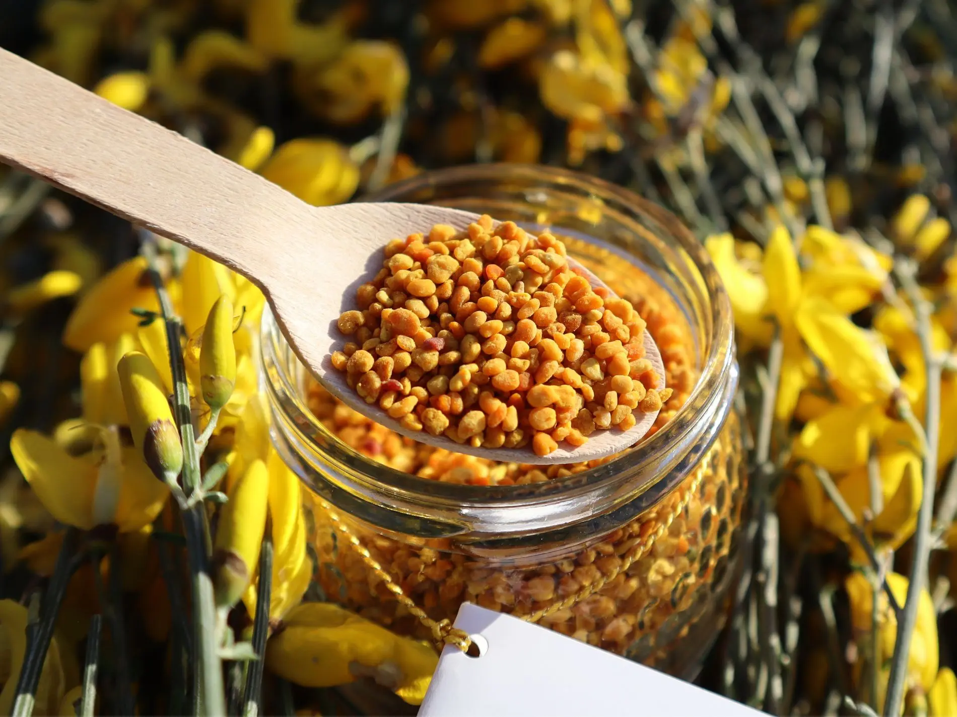 Polen de abeja: propiedades, beneficios y cómo consumirlo - Cómo se debe consumir el polen propiedades del polen de abeja - Cómo se debe consumir el polen