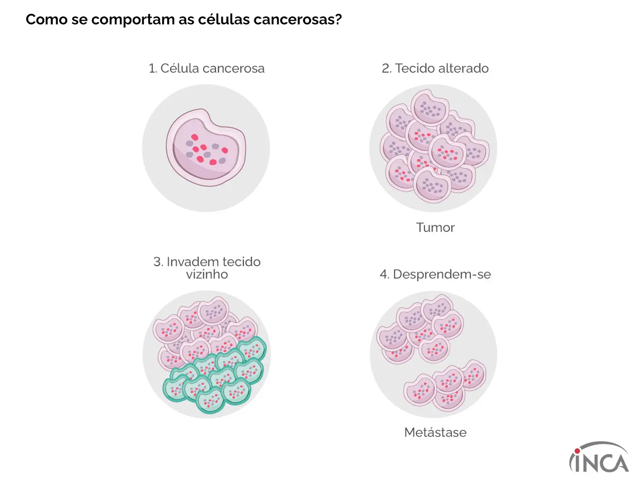 Células Cancerígenas: Un Viaje al Interior del Crecimiento Descontrolado - Cómo se desarrollan las células cancerígenas celula cancerigena - Cómo se desarrollan las células cancerígenas