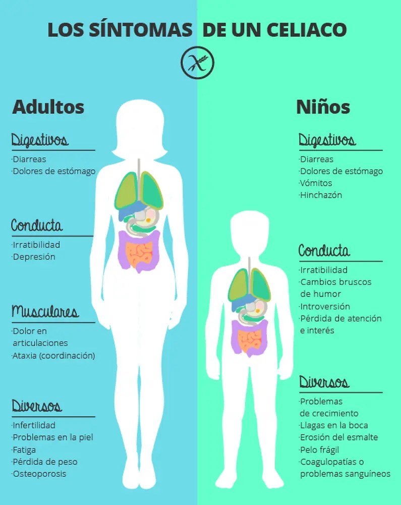 Celiaquía en niños: síntomas, detección y tratamiento - Cómo se detecta la celiaquía sintomas de celiaquia en niños - Cómo se detecta la celiaquía