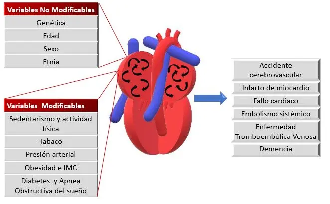 Diagnóstico de la Fibrilación Auricular: Una Guía Completa - Cómo se diagnostica la fibrilación auricular faarv diagnostico - Cómo se diagnostica la fibrilación auricular