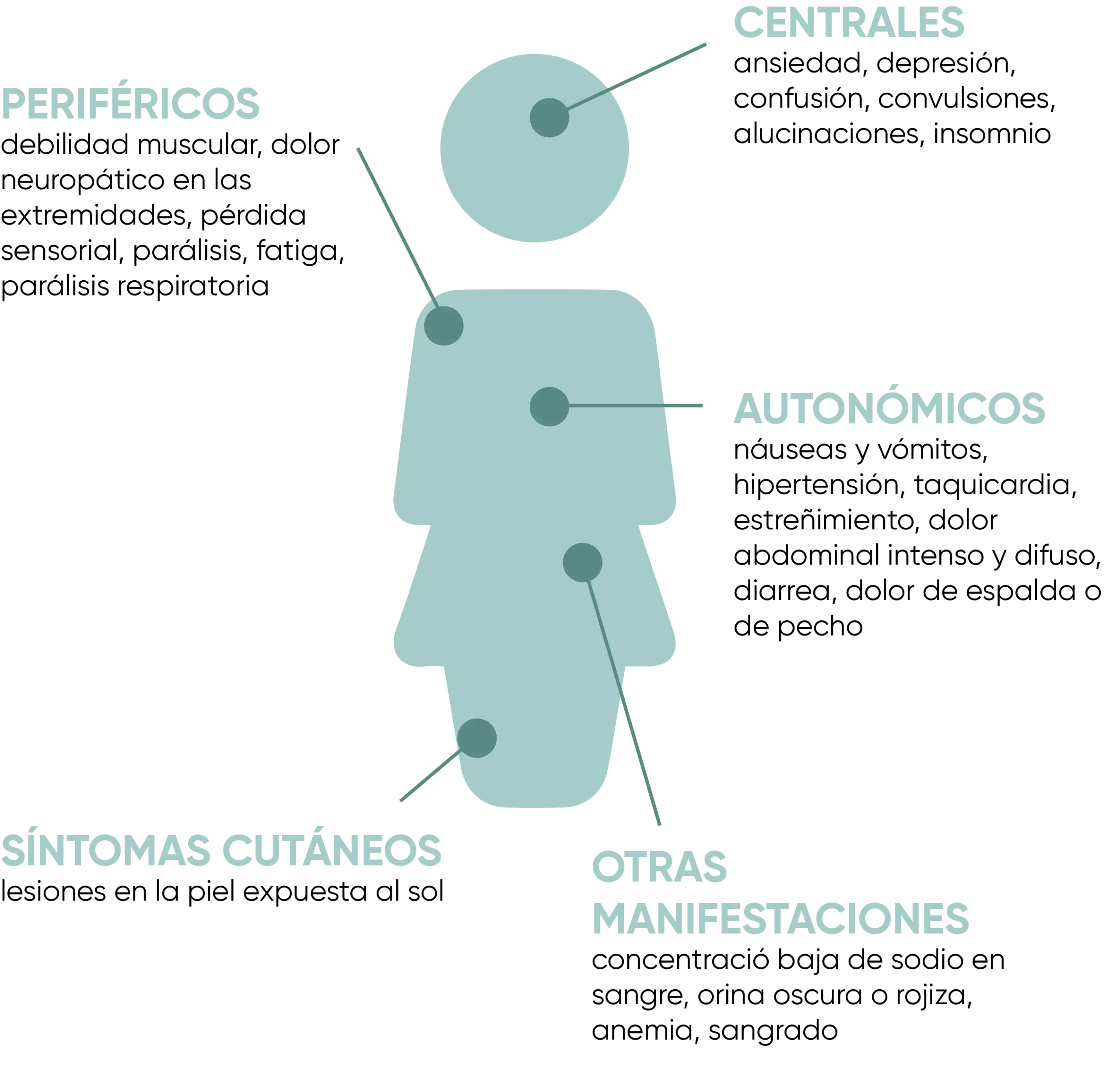 Porfiria: Síntomas, Diagnóstico y Cómo Vivir con Esta Afección - Cómo se diagnostican las porfirias sintomas de porfiria - Cómo se diagnostican las porfirias