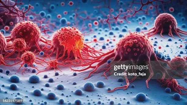 Células Cancerígenas: Un Viaje al Interior del Crecimiento Descontrolado - Cómo se llama la célula que provoca el cáncer celula cancerigena - Cómo se llama la célula que provoca el cáncer
