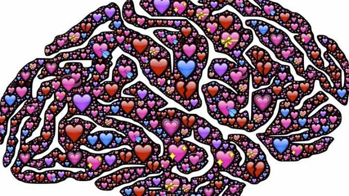 que parte del cerebro controla las emociones - Cómo se llama la parte del cerebro que controla el amor