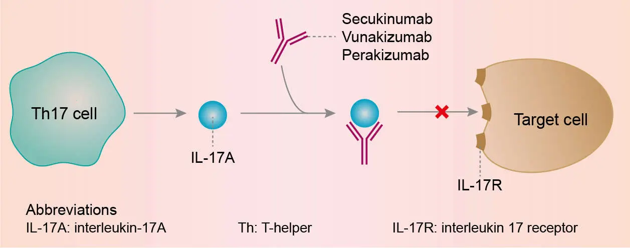 Secuquinumab: Un tratamiento eficaz para enfermedades autoinmunes - Cómo se llama la vacuna para el psoriasis secukinumab - Cómo se llama la vacuna para el psoriasis