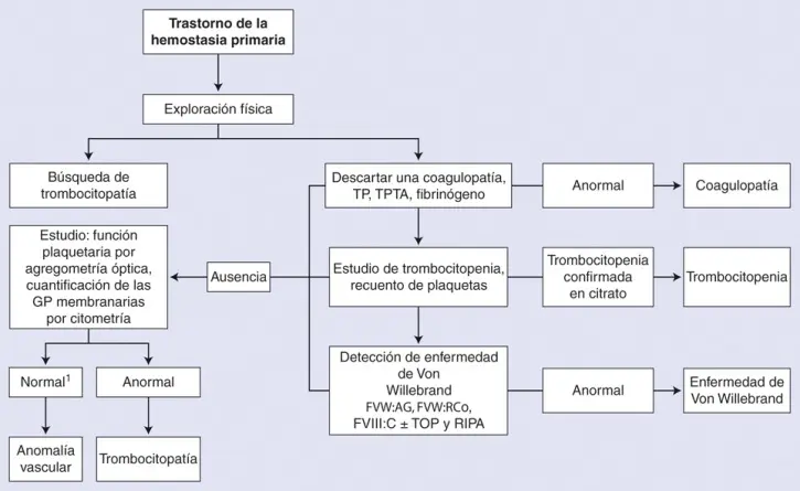 Hemostasia Primaria: El Primer Paso para Detener el Sangrado - Cómo se manifiesta clínicamente un trastorno de la hemostasia primaria hemostasia primaria - Cómo se manifiesta clínicamente un trastorno de la hemostasia primaria