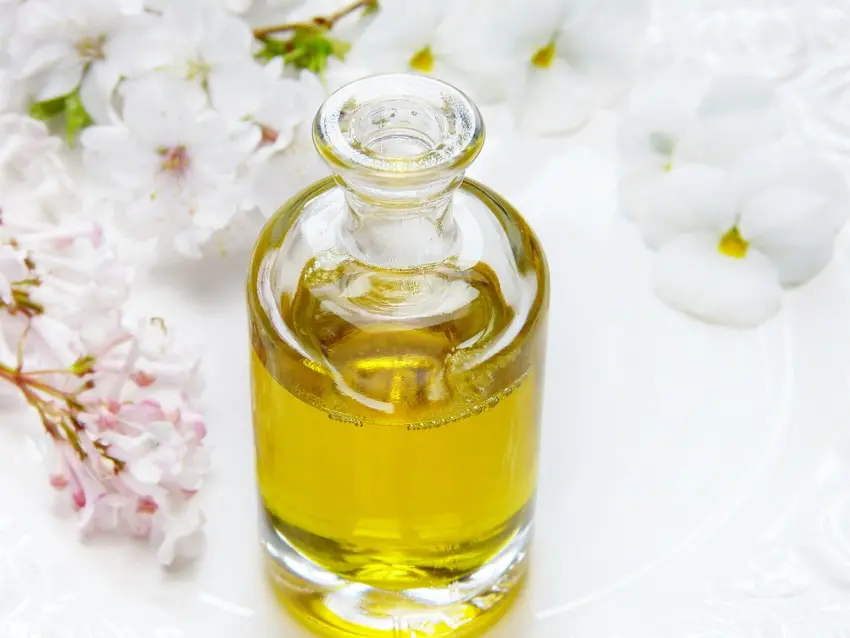 Cola de caballo: beneficios, contraindicaciones y usos para el cabello, la piel y la salud - Cómo se usa la cola de caballo para la piel cola de caballo postiza - Cómo se usa la cola de caballo para la piel