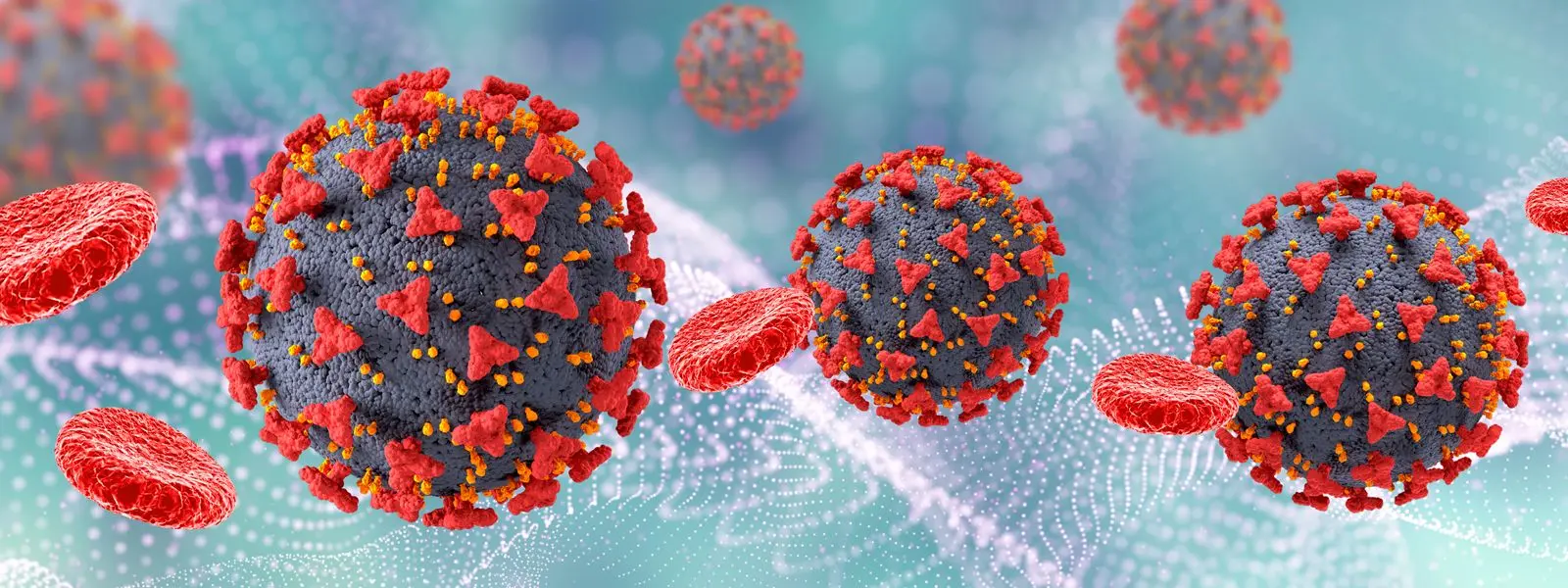 Reinfección por COVID-19: Qué es, cómo se produce y qué implica - Cómo son las formas de contagio reinfeccion covid - Cómo son las formas de contagio