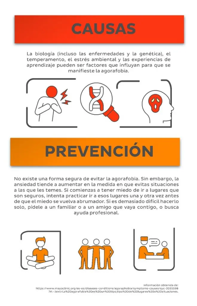 El mejor tratamiento para la agorafobia: Guía completa - Cuál es el mejor tratamiento para la agorafobia tratamiento para la agorafobia - Cuál es el mejor tratamiento para la agorafobia