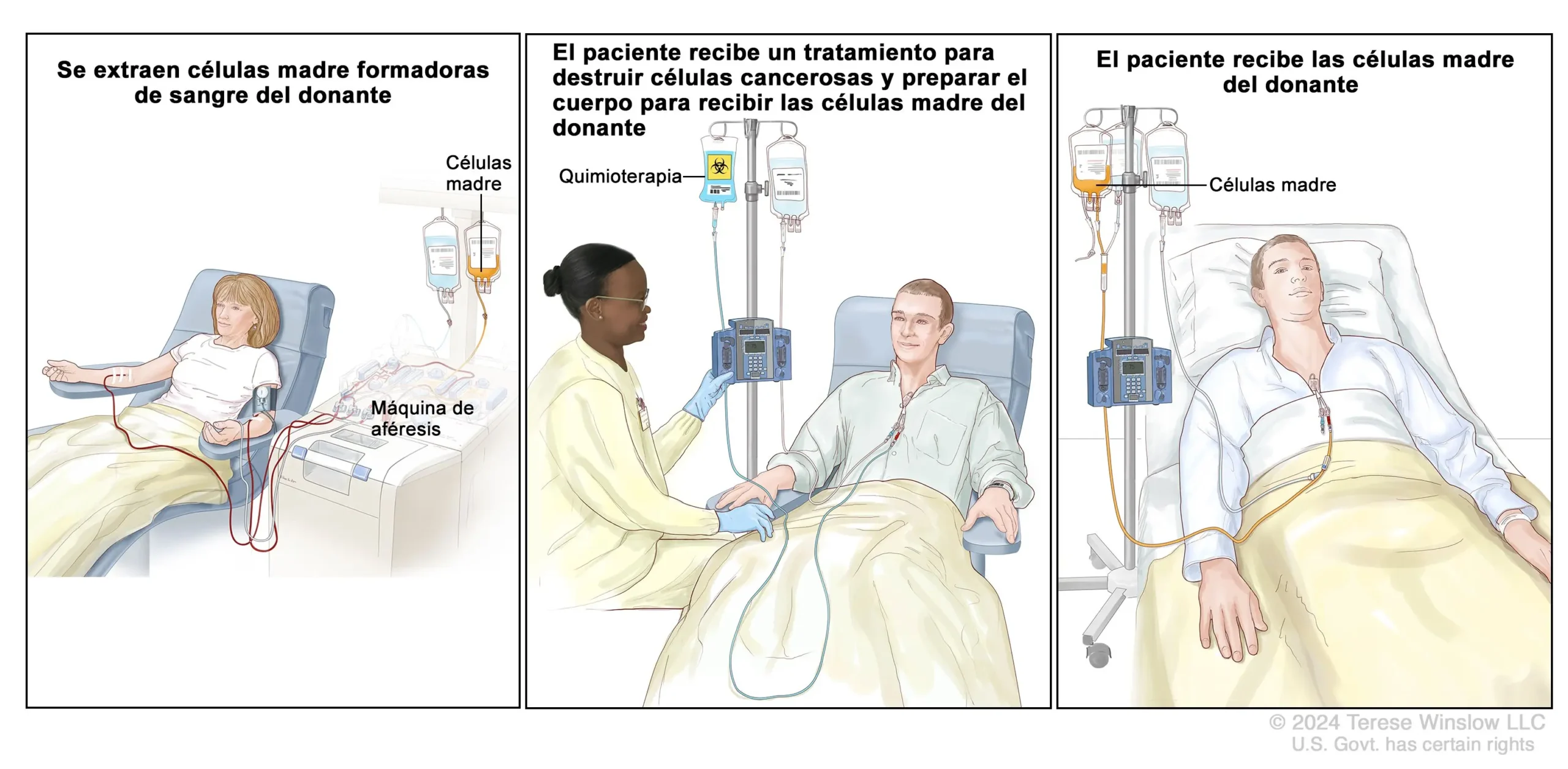 Tratamientos para la Leucemia: Una Guía Completa - Cuál es el mejor tratamiento para la leucemia tratamientos para leucemia - Cuál es el mejor tratamiento para la leucemia