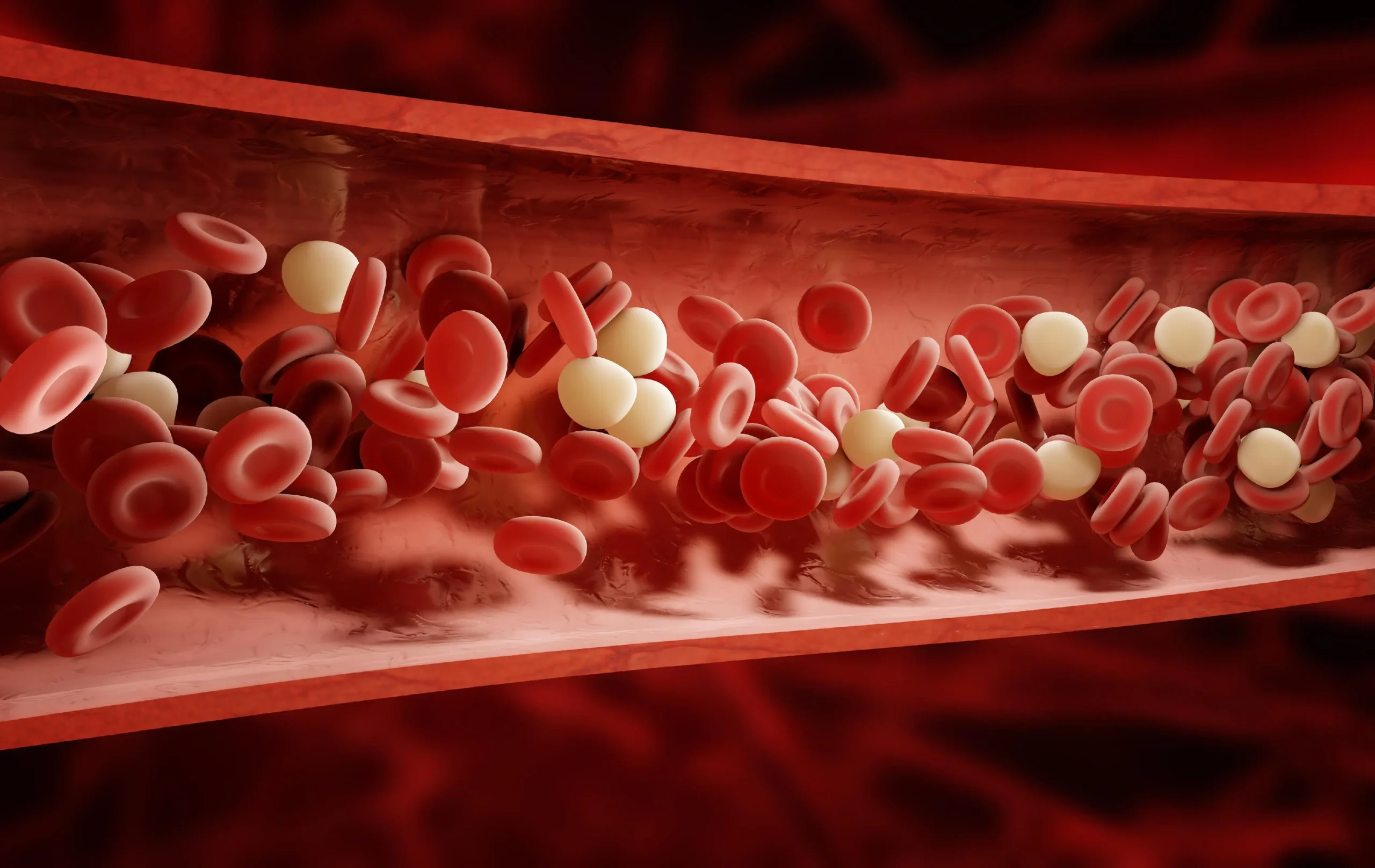 Diferencia entre Suero y Plasma: Una Guía Completa - Cuál es la diferencia entre sangre y plasma diferencia entre suero y plasma - Cuál es la diferencia entre sangre y plasma