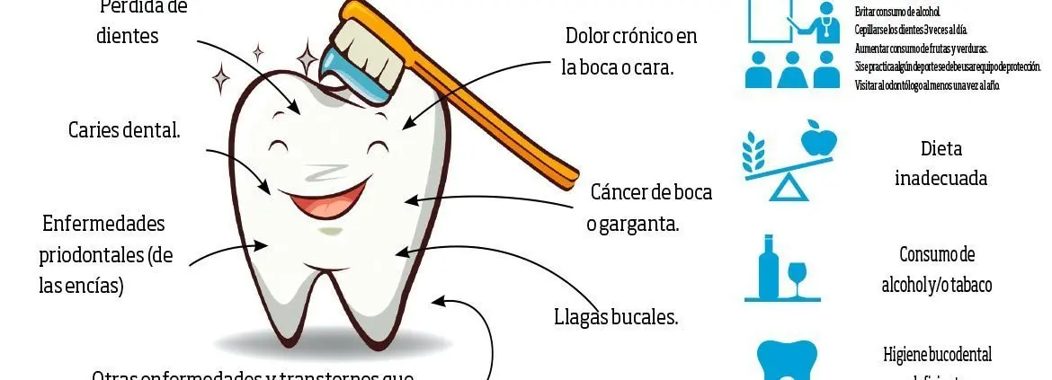 porque es importante la higiene bucal en los niños - Cuál es la importancia de la salud bucal durante la primera infancia