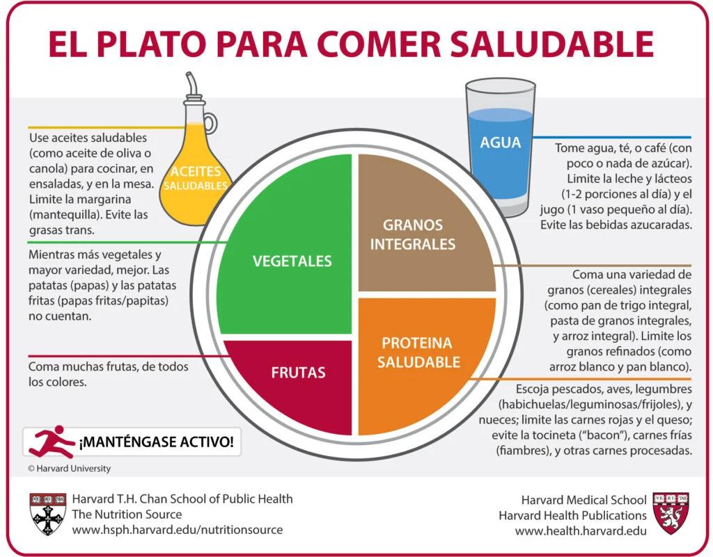 Dieta saludable diaria: Guía completa para una mejor salud - Cuál es la mejor dieta para estar saludable dieta saludable diaria - Cuál es la mejor dieta para estar saludable