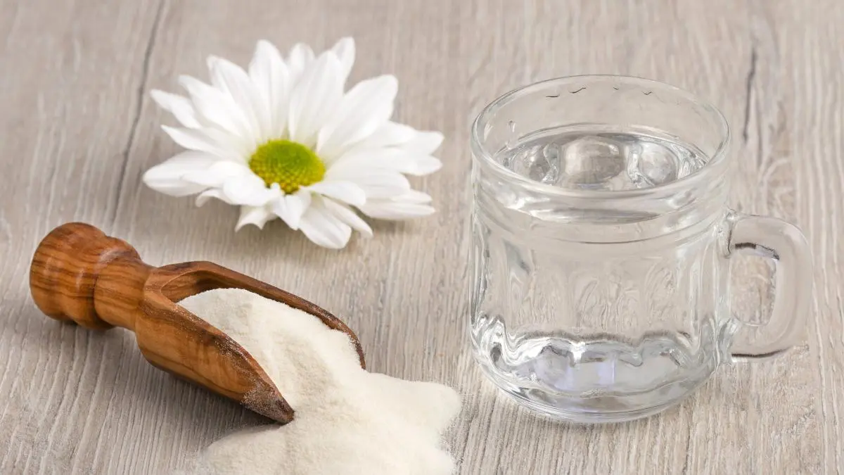Es bueno comer gelatina de noche: Beneficios y cuándo es mejor consumirla - Cuál es la mejor hora para comer gelatina es bueno comer gelatina de noche - Cuál es la mejor hora para comer gelatina