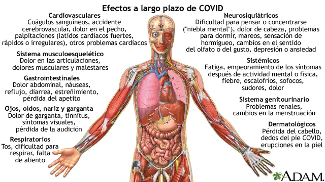 Mareos por COVID: Causas, Síntomas y Cuánto Tiempo Duran - Cuál es la nueva variante del COVID-19 y cuáles son sus síntomas mareos covid - Cuál es la nueva variante del COVID-19 y cuáles son sus síntomas