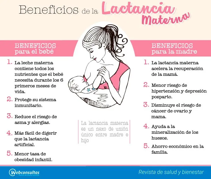 Recomendaciones para una Lactancia Materna Exitosa: Guía Completa para Mamás - Cuál es la recomendación actual para la lactancia materna recomendaciones para la lactancia materna - Cuál es la recomendación actual para la lactancia materna