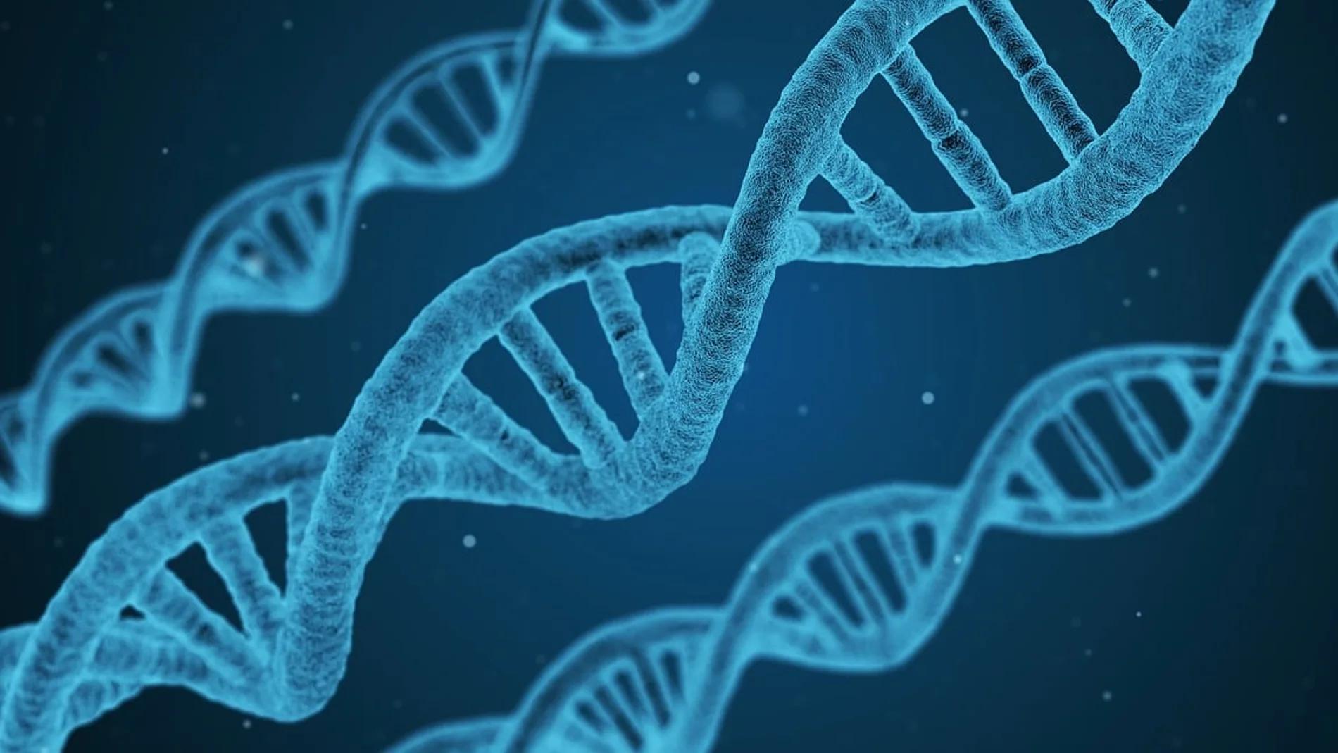 La Genética Humana: Un Viaje por los Genes y la Herencia - Cuáles son las ramas de la genética biologia genética - Cuáles son las ramas de la genética