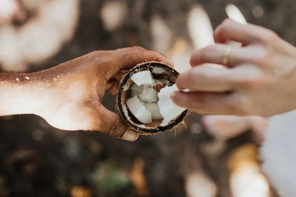 agua de coco - Cuáles son los beneficios del coco