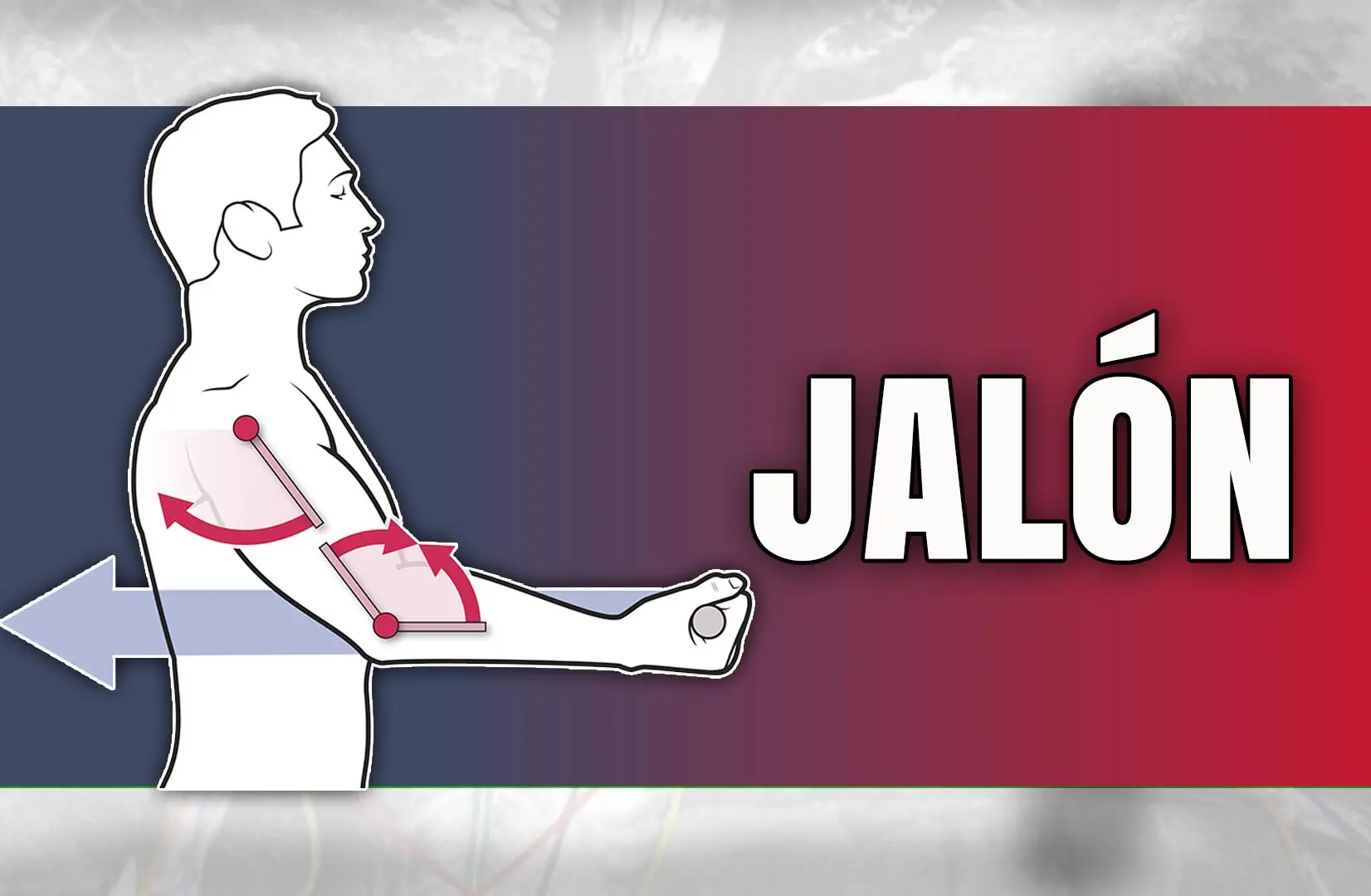 tirones ejercicio - Cuáles son los ejercicios de jalón