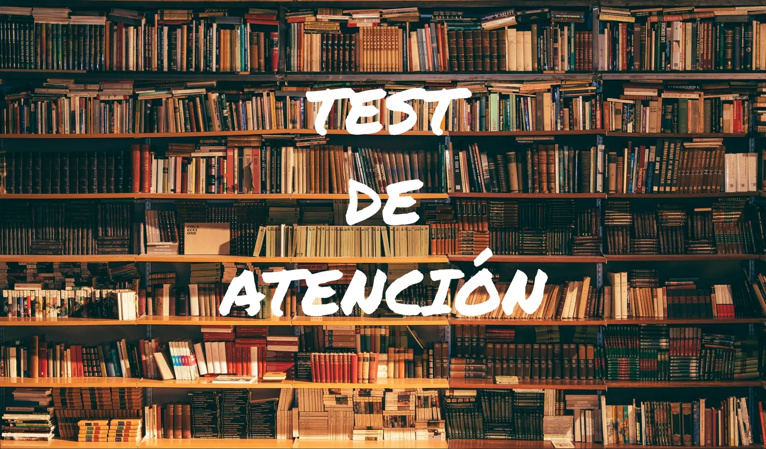 Atención Lábil: Definición, Causas, Síntomas y Tratamiento - Cuáles son los tipos de atención atención labil - Cuáles son los tipos de atención