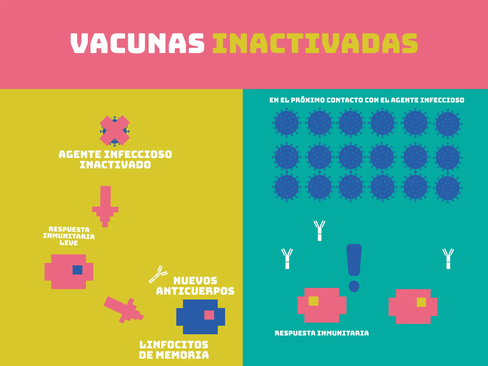 Vacunas atenuadas e inactivadas: una guía completa - Cuáles son los virus atenuados vacunas atenuadas e inactivadas - Cuáles son los virus atenuados