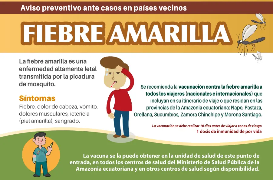 Cuánto Dura la Vacuna de la Fiebre Amarilla: Inmunidad y Protección - Cuándo empieza a hacer efecto la vacuna de la fiebre amarilla cuánto dura la vacuna dela fiebre amarilla - Cuándo empieza a hacer efecto la vacuna de la fiebre amarilla