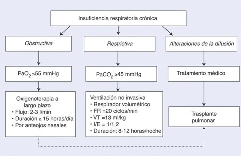 Insuficiencia Respiratoria Crónica: Causas, Síntomas y Tratamiento - Cuándo se considera insuficiencia respiratoria crónica insuficiencia respiratoria cronica - Cuándo se considera insuficiencia respiratoria crónica
